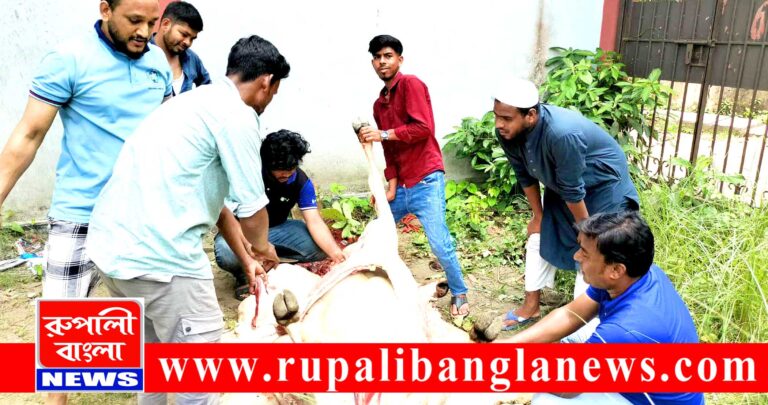 দোহার প্রেসক্লাবের উদ্যোগে প্রথমবারের মতো পশু কোরবানি